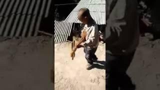 Lisu boy playing traditional guitar