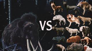 BloodTusk mammoth VS ALL Beast master #PlayHard #GameTime #HighScore