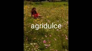 Sharon Yamileth " agridulce"