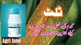 Tilt Syngenta Fungicide use in Urdu and Hindi | Propiconazole Fungicide | Tilt Fungicide details