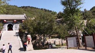 北京延寿寺盘龙松风景区，不收门票，内有延寿寺可拜，还能遇见蛇