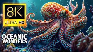Oceanic Wonders 8K Ulta Hd 60 Fps - Most Beautiful Underwater life