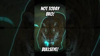 NOT TODAY BRO! BULLSEYE! Diamond Tiger Grind The Hunter: Call of the Wild