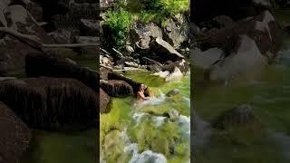 Sochi Mountain River #nature #swimmnig #travel #motivation #shorts #shortvideo