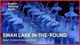 Swan Lake in-the-round: Swan Corps Cinema Extract | English National Ballet