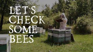 Keeping Track Of 3000 Beehives! Commercial Beekeeping Management