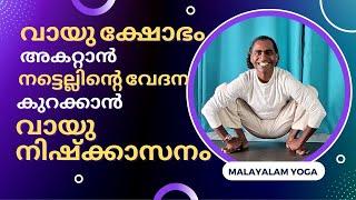 വായു നിഷ്കാസനം: വായു ക്ഷോഭം, ദഹനക്കേട്, നടുവേദന മാറാൻ | സന്ധികളുടെ ബലം കൂട്ടാൻ | Vitality Queens