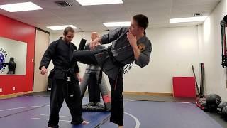 Powerful Front Leg Round House (using hip alignment)