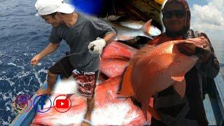 Big Fish Strike Party!!! It's Easy Fishing for big red snapper & deep sea baboon predator fish