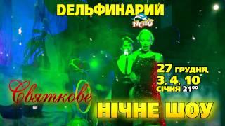 Ночное новогоднее шоу в Киевском дельфинарии "Немо"