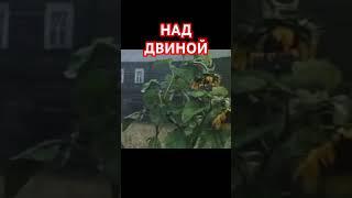 Над Двиной. Архангельский мужик. Начало русской свободы. @AnatoliStrelianyi @UHOLOS  #Shorts