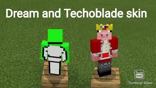 How to Get Dream and Technoblade's skin in Minecraft!