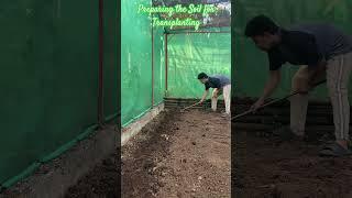 Bungkalin ang ang Soil para sa Transplanting #farming #gardening  #transplantjourney