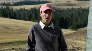 Soil pH_How It Happens