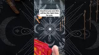 "Remain Neutral" - 08/31/23  #tarot #dailytarot #tarotcards