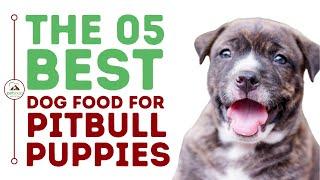 The Best Dog Food for Pitbull Puppies