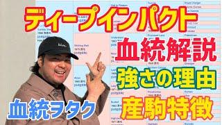 【血統入門編】ディープインパクトの血統解説【まずはここを覚えよう】