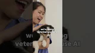 How do veterinarians use AI? | Cybernet Manufacturing
