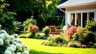 Decorate your home beautifully with the best gardening ideas, easy for everyone