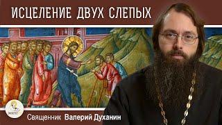 Исцеление двух слепых и немого бесноватого (Мф. 9: 27-35).   Священник Валерий Духанин