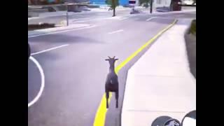 The Velociraptor in Goat Simulator