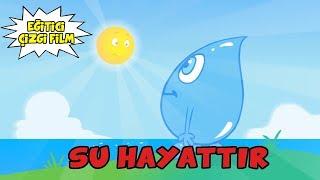 Su Hayattır - Eğitici Çizgi Film