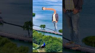 Artificial #peacock water transport to rescue drought special effects #funny #shorts #comedy