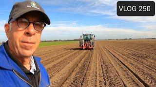 FARMVLOG#250- 250 weeks on the farm, lifting the last potatoes.