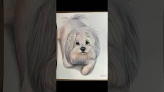 Which is your favorite? #art #drawing
