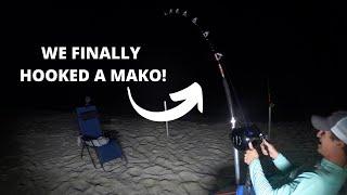 Can't Believe This Happened!- (LAND BASED SHARK FISHING)