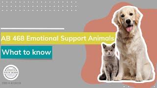 AB 468 California Law | Fair Housing Act Emotional Support Animal