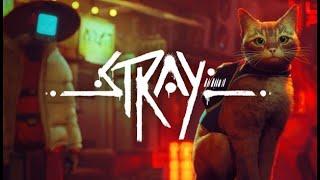 Stray #1 Хвостатый бродяга