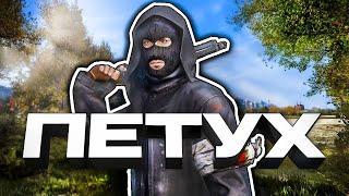 Петухи 3 | DAYZ