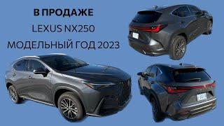 #новыеавтоизсша Lexus NX250 в продаже, модельный год 2023