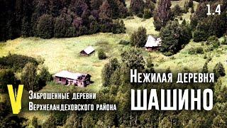 1.4 Заброшенная деревня Шашино. Верхнеландеховский район. Ивановская область.