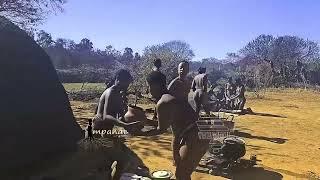 Impande yezintombi 2024 I really love this culture #zedube #abangoni #sonkepeople #shorts