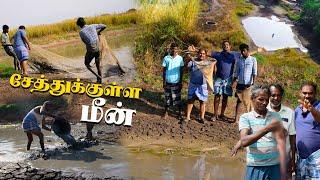 மீன் பிடிக்க போனா கடைசியா இப்படி ஆகிருச்சு | WFT Vlog