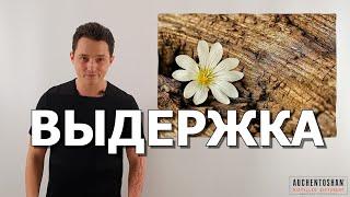 Теория алкоголя. Часть №3. Выдержка. Mr.Tolmach на русском