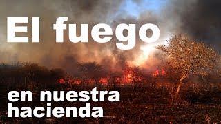 La canción sobre el FUEGO en nuestra hacienda