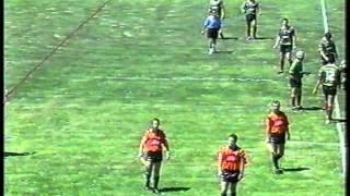 SONNY BILL WILLIAMS FIGHT