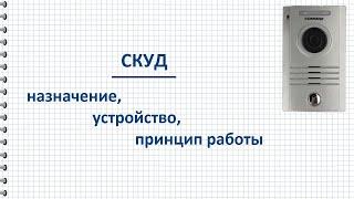 Что такое СКУД, назначение, устройство, принцип работы