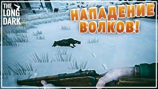 На меня напали волки! | The Long Dark