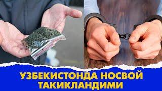 Узбекистонда носвой такикландими