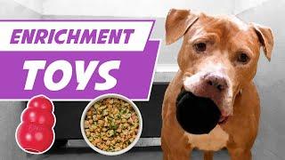 Enrichment Toys for Shelter Dogs (DIY for Your Dog)