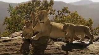 Born Free - The Movie (Final moments)