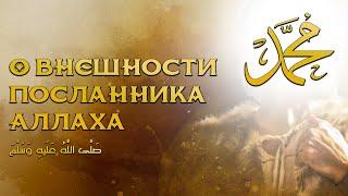 О внешности Посланника Аллаха صَلَّى اللَّهُ عَلَيهِ وَسَلَّمَ