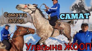 Саматтын аттары УЛАГЫНА ЖООП20 января 2023 г.