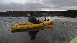 Kayaking Lake Beaverfork, Near Conway AR