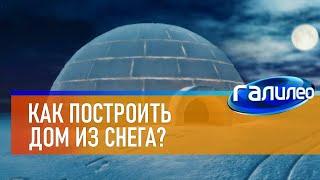 Галилео  Как построить дом из снега?