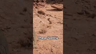 Mysterious Sailing Stones of Death Valley